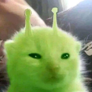 me alien hamster eating pink spaghetti with the text "Gleeb my glorp (dink my oup)"